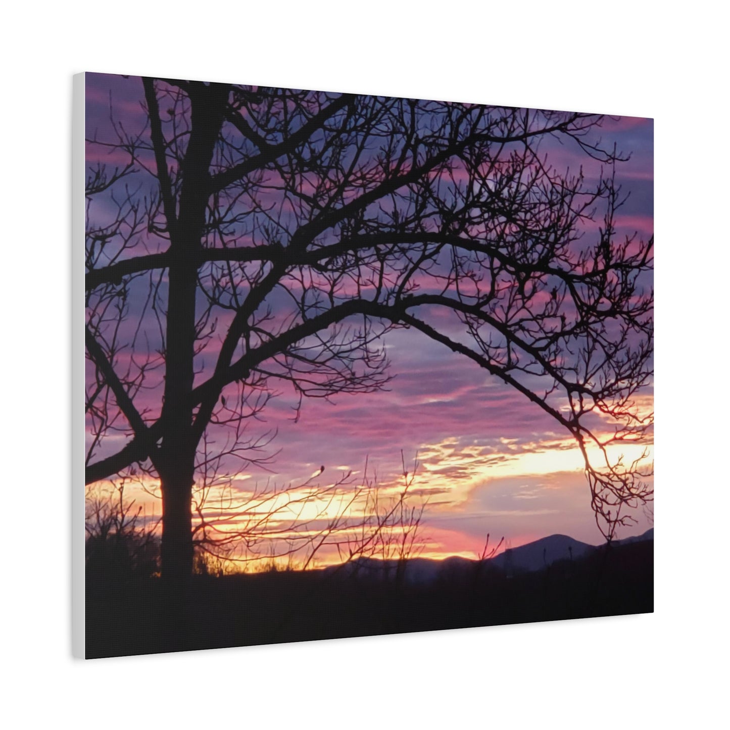 Nature's Edge Wall Canvas - "Tree on Violet"