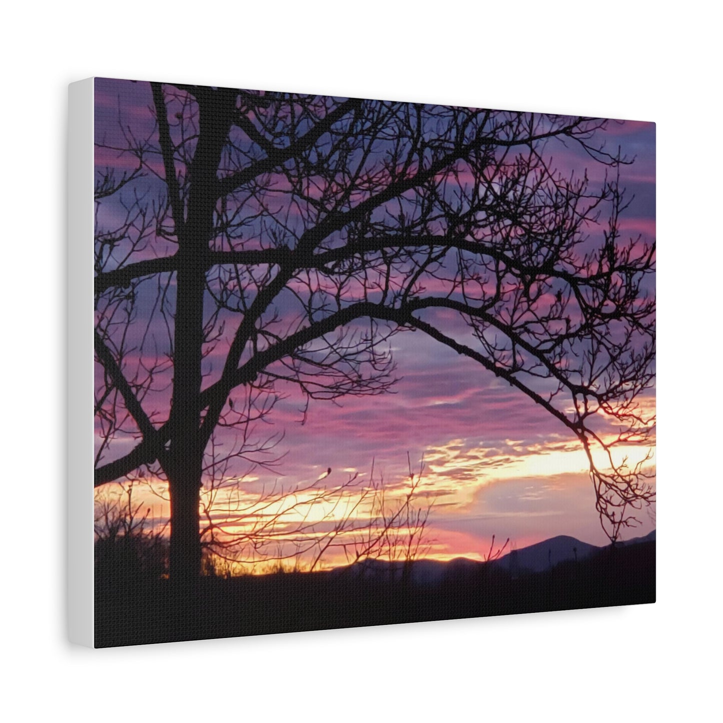 Nature's Edge Wall Canvas - "Tree on Violet"