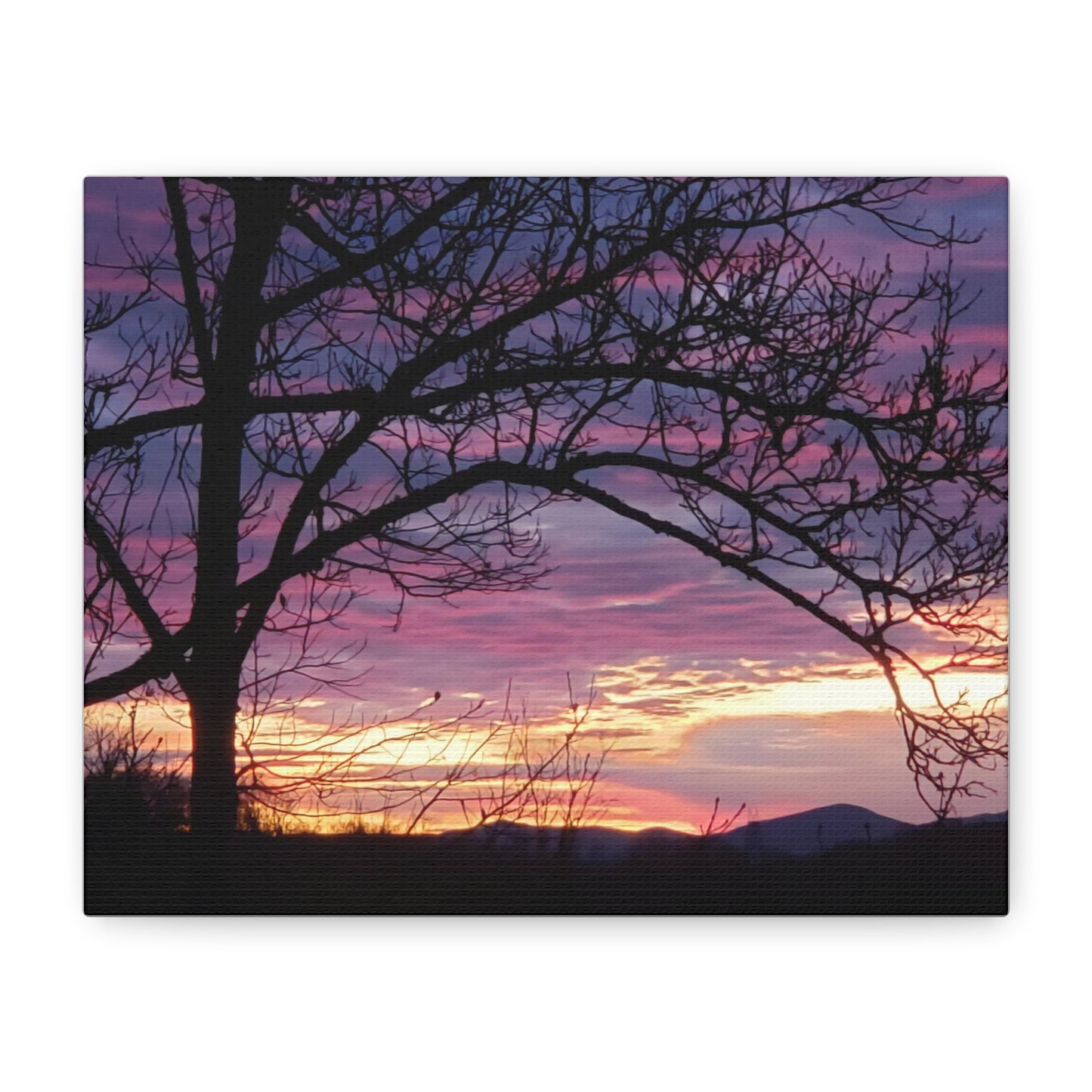 Nature's Edge Wall Canvas - "Tree on Violet"