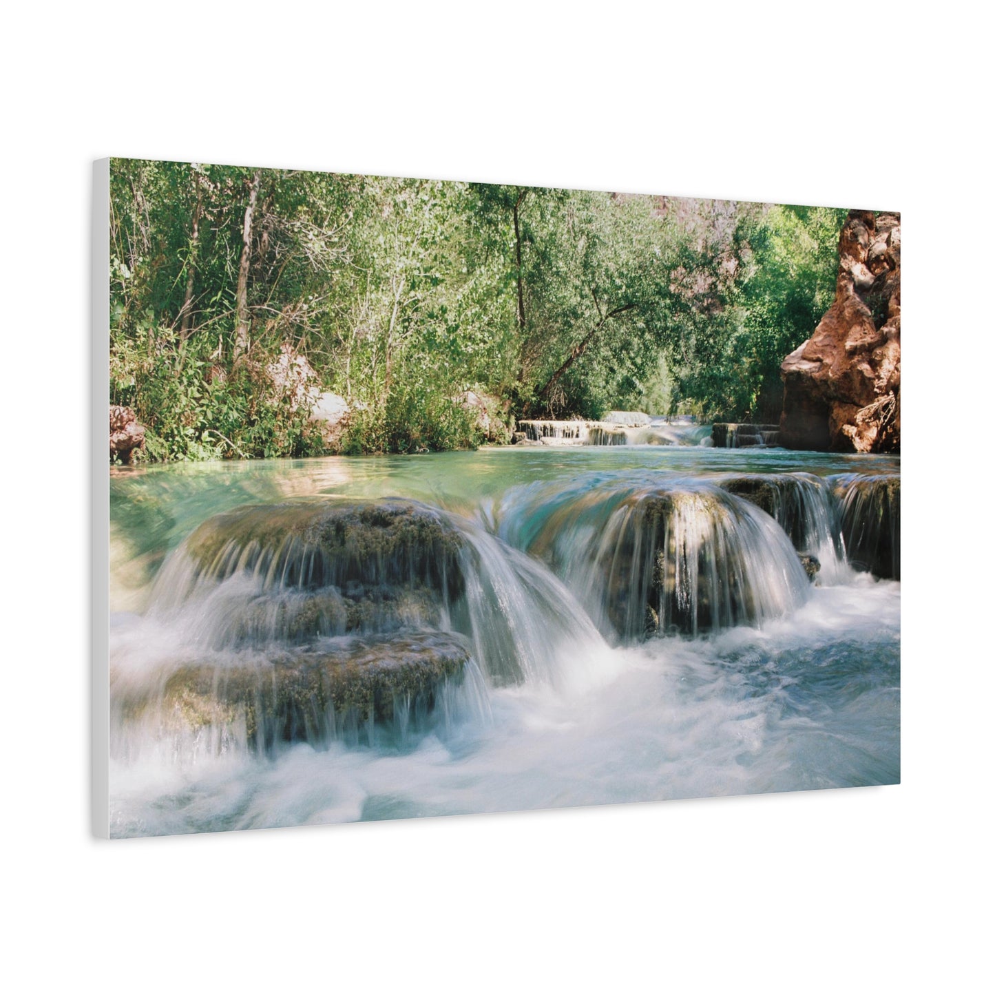 Nature's Edge Wall Canvas - "In Havasu Creek"